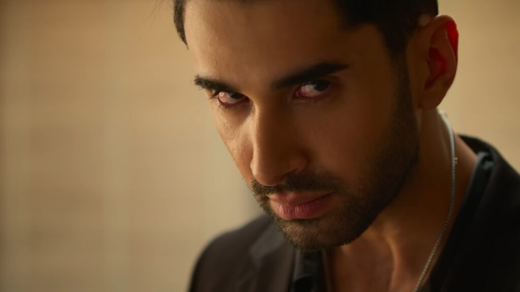 Netflix Hit Show The Ba***ds of Bollywood Series